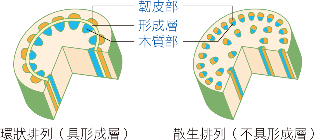課本圖