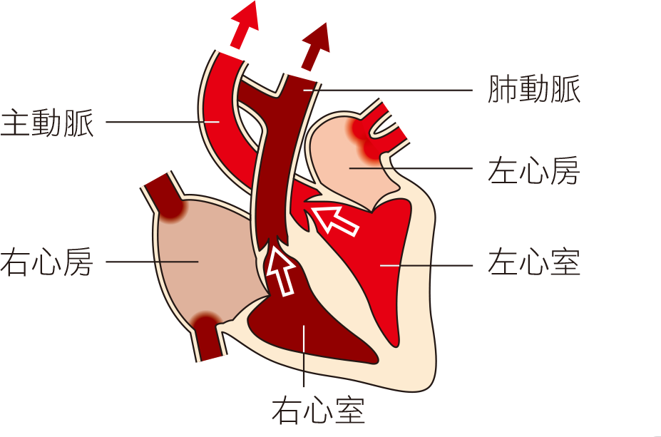 課本圖