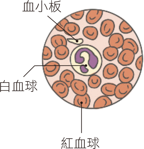 課本圖