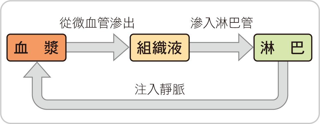 課本圖