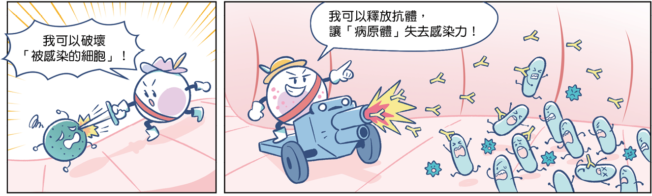課本圖