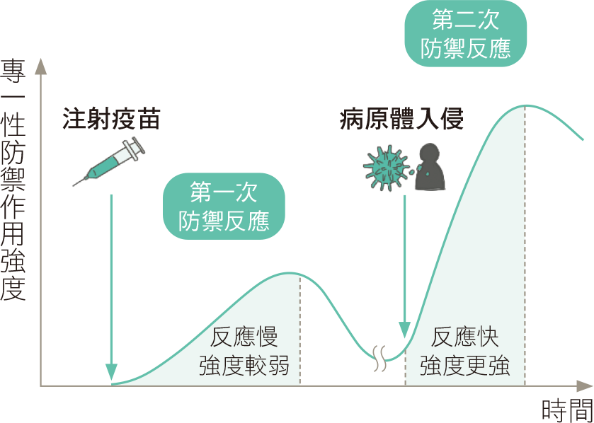 課本圖